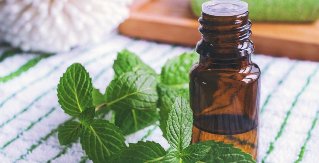 Mint, Clove and Eucalyptus Oil