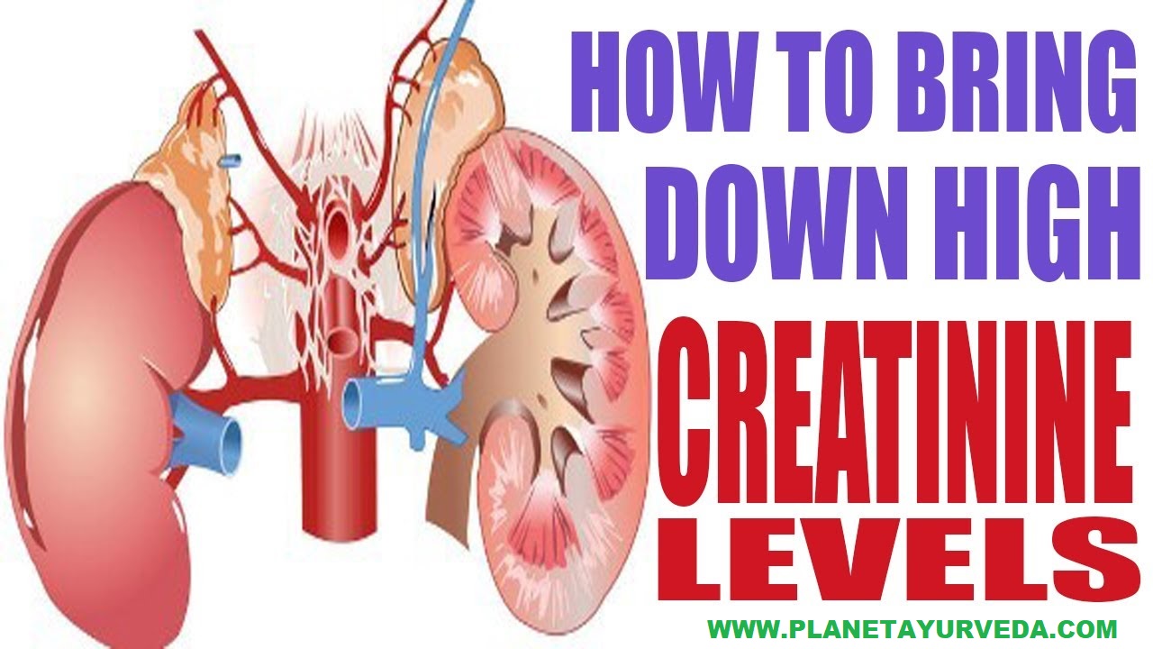 How To Reduce Creatinine Level In Ayurvedic Treatment