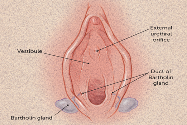 Bartholin’s Gland cyst