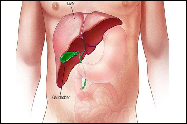 Liver Cirrhosis