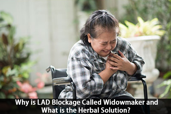 why-is-lad-blockage-called-widowmaker-and-what-is-the-herbal-solution