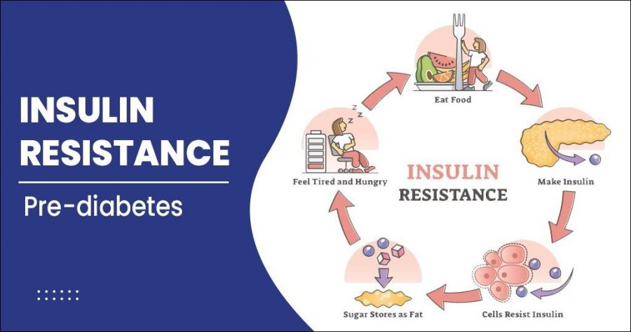 Insulin Resistance & Pre Diabetes Treatment By Herbal Remedies