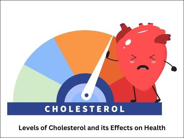 Levels of Cholesterol and its Effects on Health
