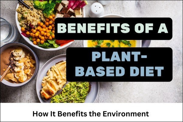 A Plant-Based Lifestyle and How It Benefits the Environment 